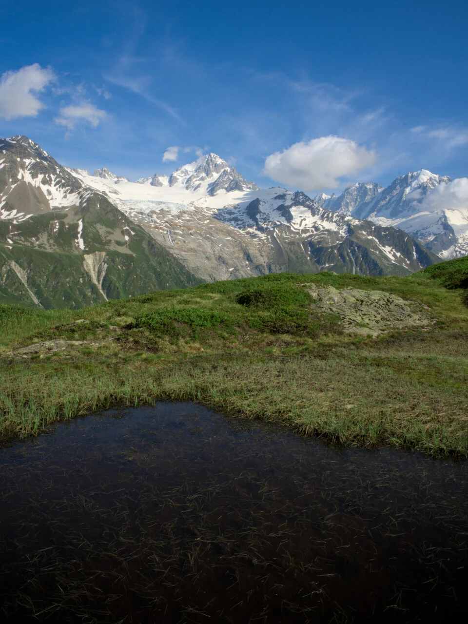 Alpiner Tümpel und Aiguille du Chardonnet auf dem Weg zum Col de Balme