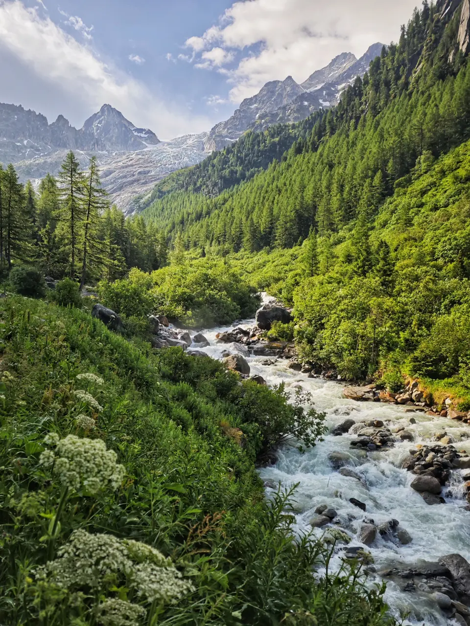 Trient-Gletscher – TMB