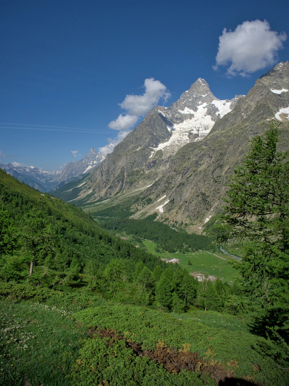 Lärchenwald und Mont-Blanc-Nadeln auf dem Weg zur Refuge Bertone