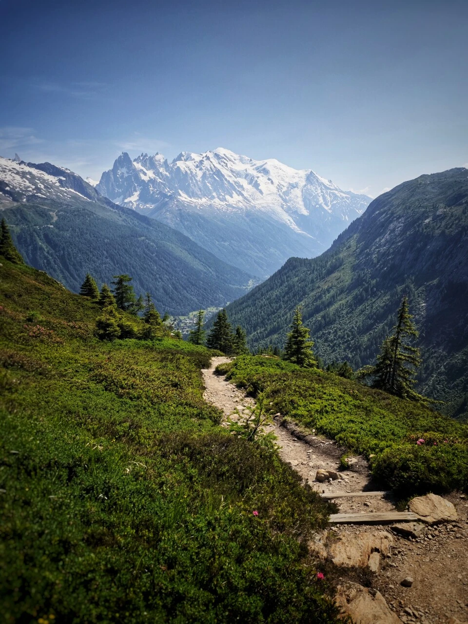 Wanderweg durch Almwiesen mit Blick auf den Mont-Blanc, zwischen Col de Balme und Trè-le-Champ