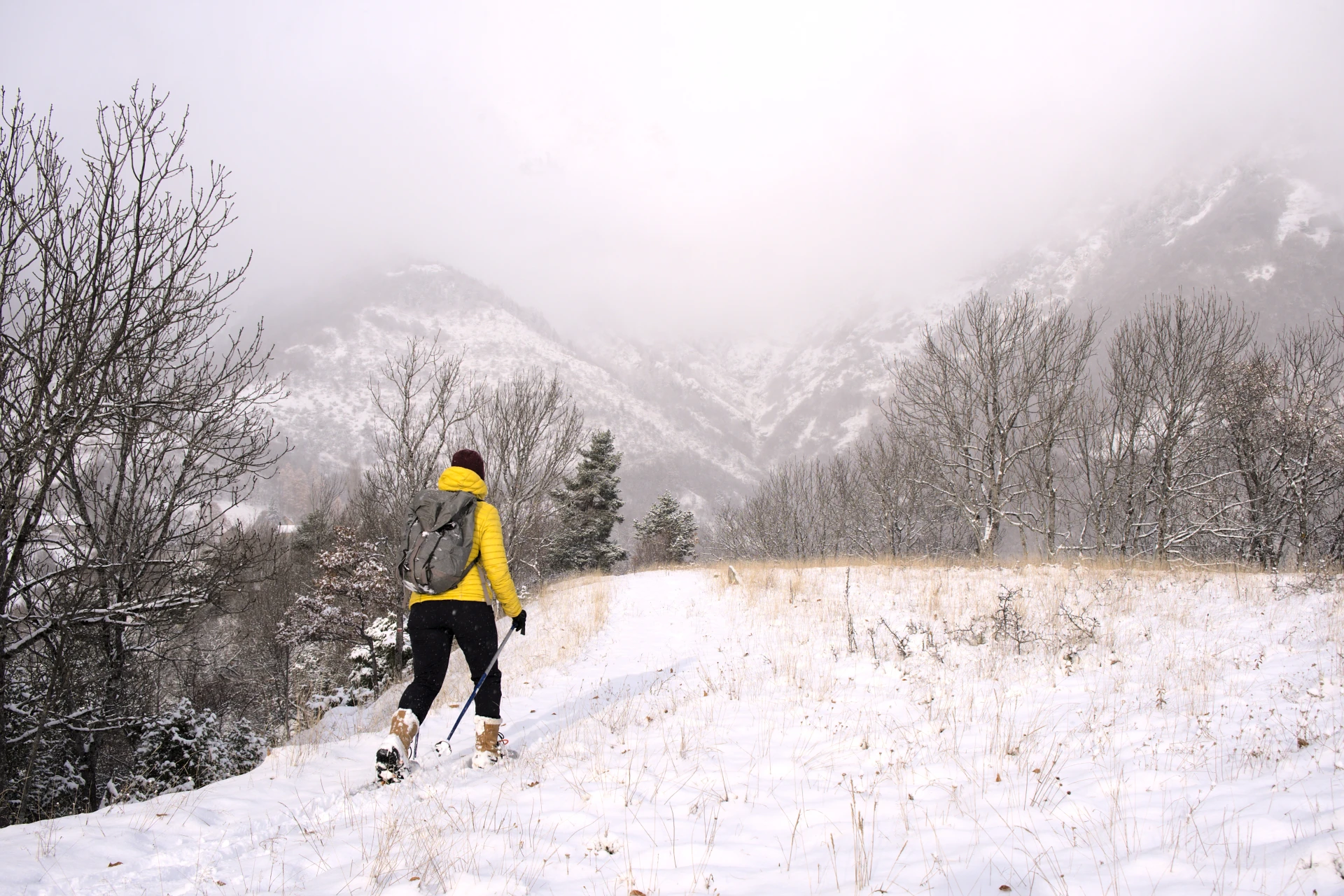 Schneeschuh-Einsteigerkurs