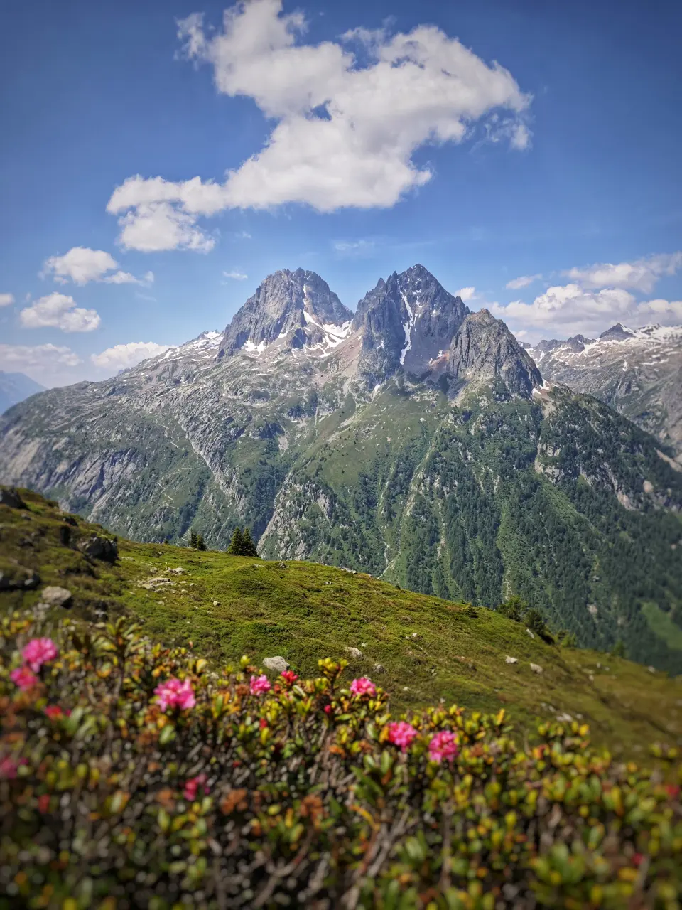 Aiguilles Rouges vom TMB aus
