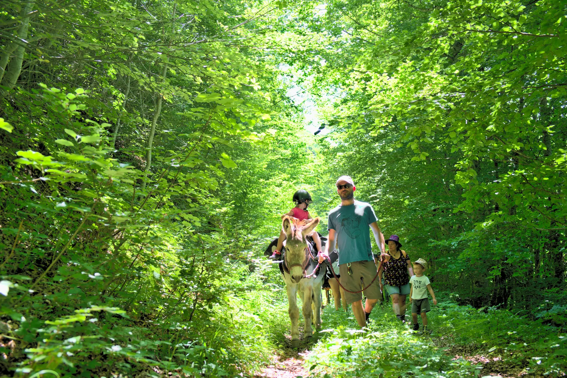 Eselwanderung in den Alpen