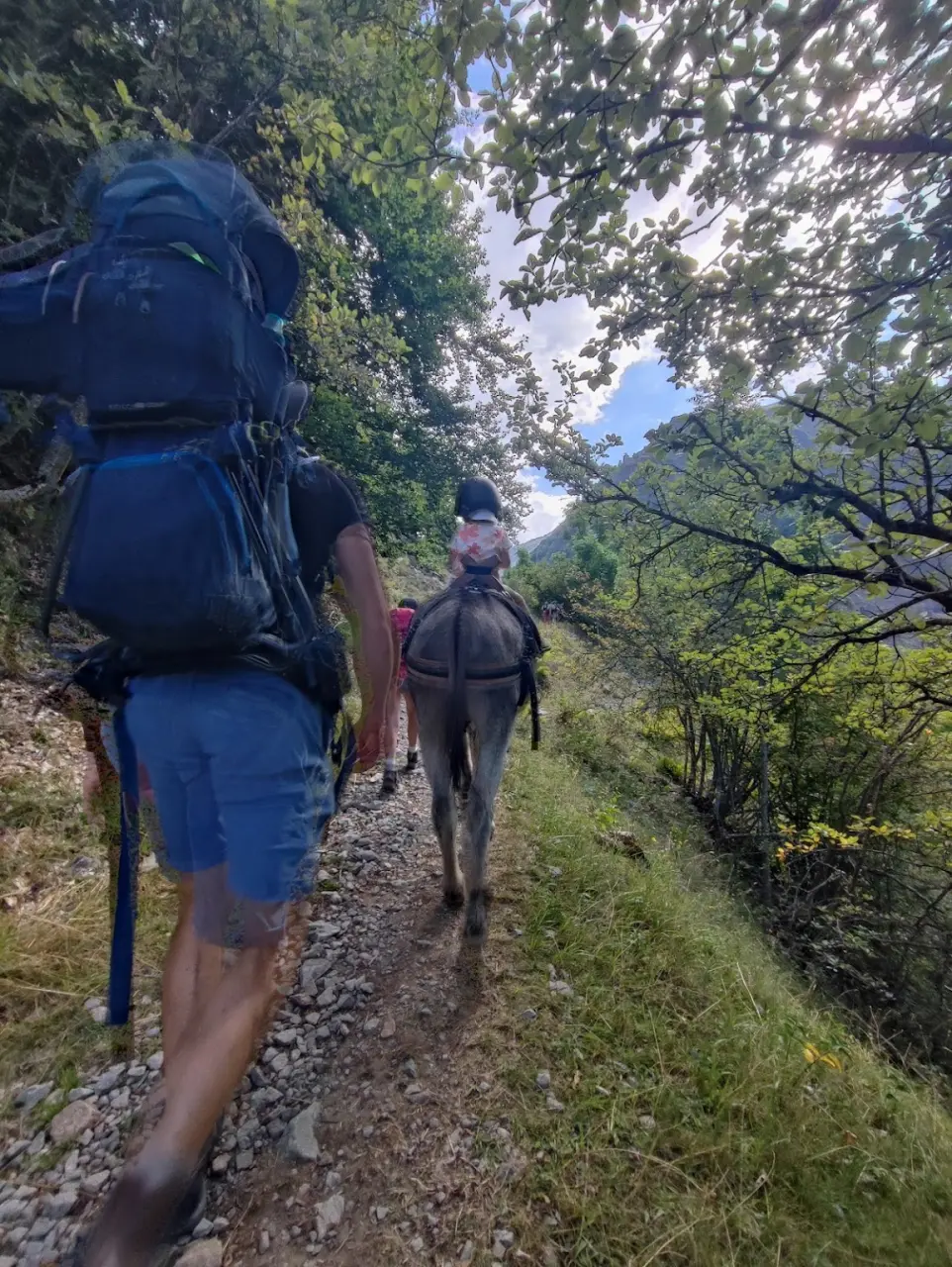 Familienwanderung mit Eseln